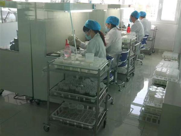接種器械滅菌器中的計(jì)算機(jī)軟硬件技術(shù)開發(fā) 智能消毒與精準(zhǔn)控制的新紀(jì)元